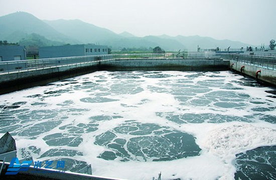 【聚焦兩會】全國人大代表楊恒?。杭訌姯h境保護建設美麗鄉村