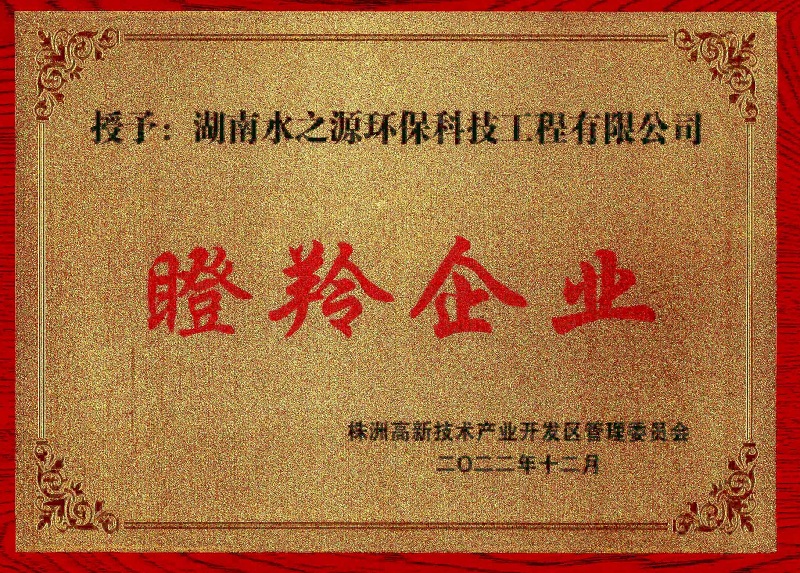水之源環保獲得株洲高新區瞪羚企業認定